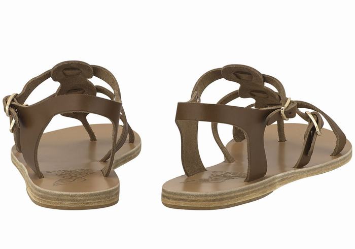 Dark Brown Ancient Greek Sandals Grace Kelly Leather Women Casual Sandals | IKW721TF