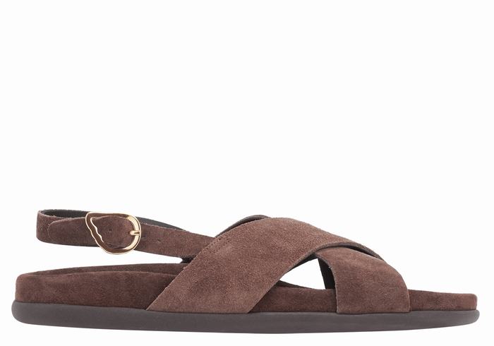 Dark Brown Ancient Greek Sandals Ikesia Women Casual Sandals | PWI2810UX