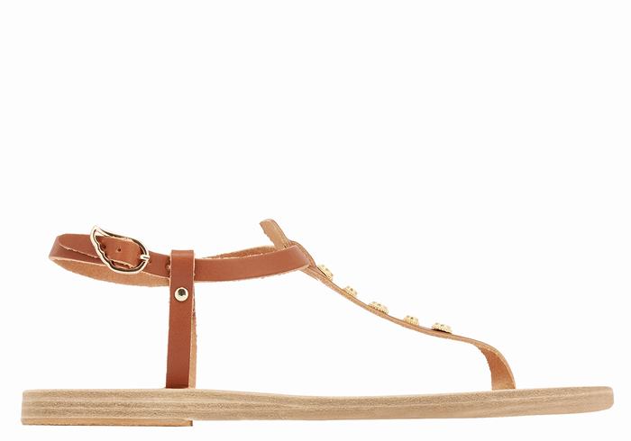 Dark Brown Ancient Greek Sandals Lito Bee Women Back-Strap Sandals | CPW7547PP