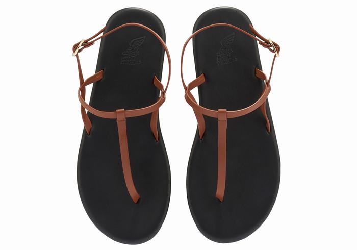 Dark Brown Ancient Greek Sandals Lito Flip Flop Women Back-Strap Sandals | DYX6468HS