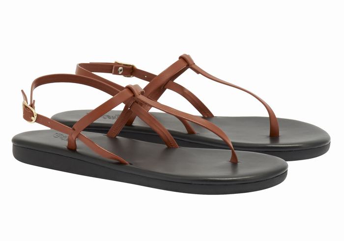 Dark Brown Ancient Greek Sandals Lito Flip Flop Women Back-Strap Sandals | DYX6468HS