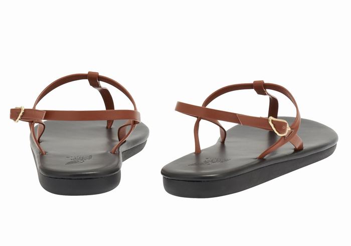 Dark Brown Ancient Greek Sandals Lito Flip Flop Women Back-Strap Sandals | DYX6468HS