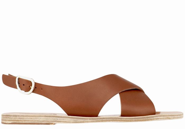 Dark Brown Ancient Greek Sandals Maria Leather Women Casual Sandals | XMD8531BM