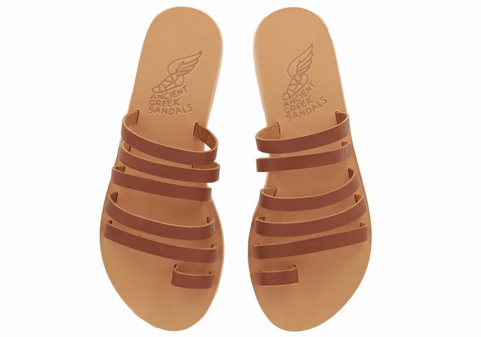 Dark Brown Ancient Greek Sandals Niki Leather Women Toe-Post Sandals | VBZ4389MI