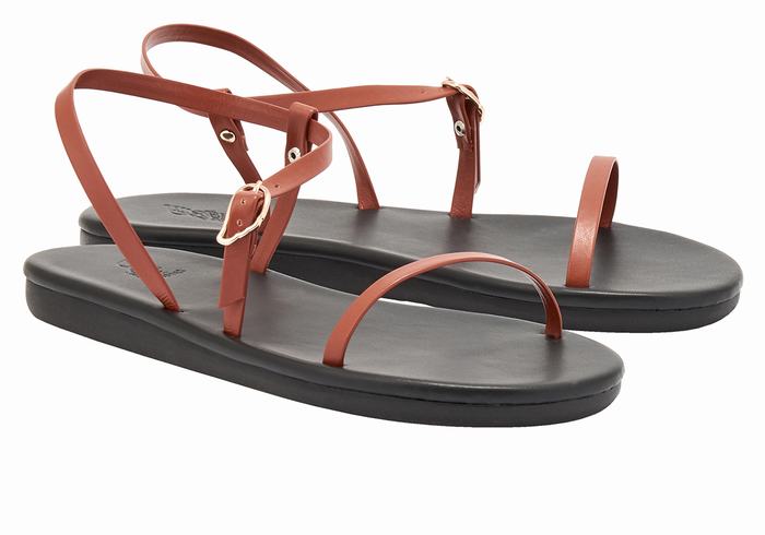 Dark Brown Ancient Greek Sandals Niove Women Back-Strap Sandals | DJW421SU