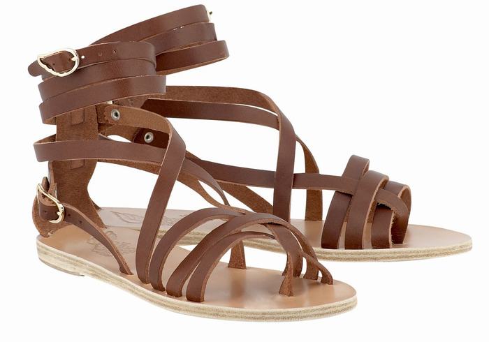 Dark Brown Ancient Greek Sandals Satira Leather Women Gladiator Sandals | HDP6265EC