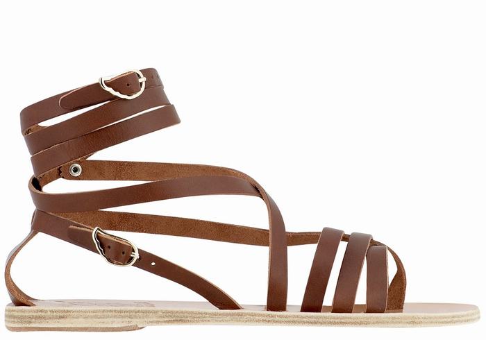 Dark Brown Ancient Greek Sandals Satira Leather Women Gladiator Sandals | HDP6265EC