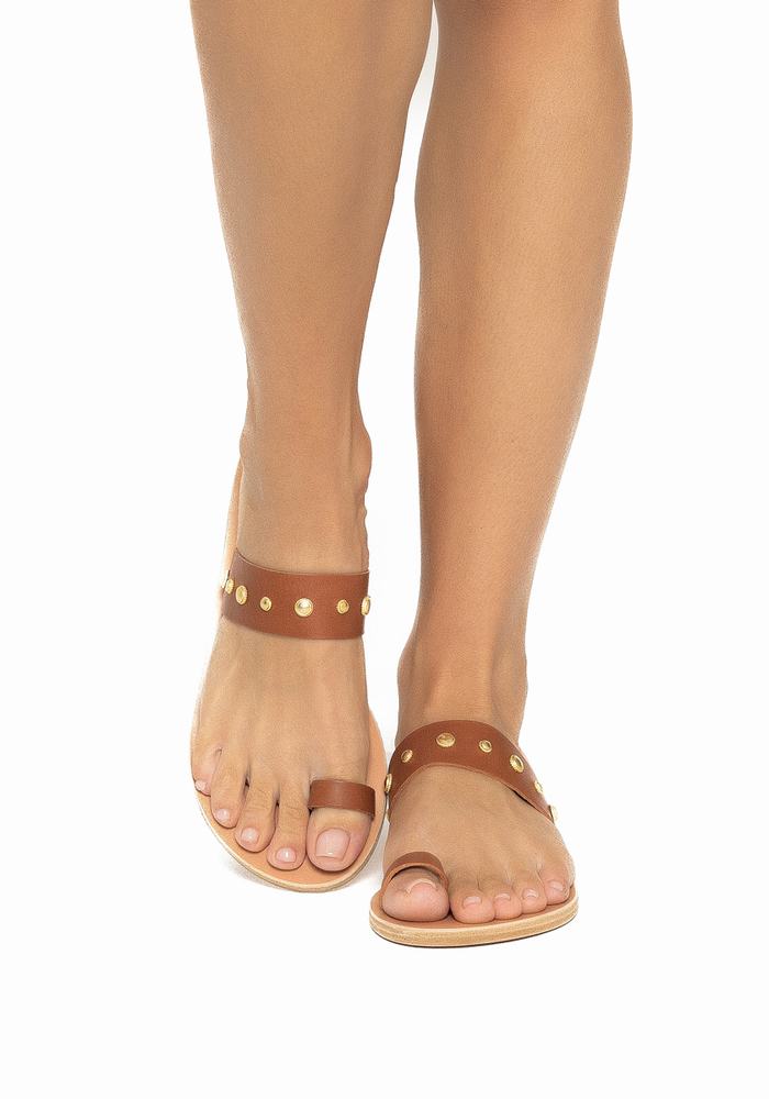 Dark Brown Ancient Greek Sandals Thalia Bee Women Toe-Post Sandals | PZQ9348IT