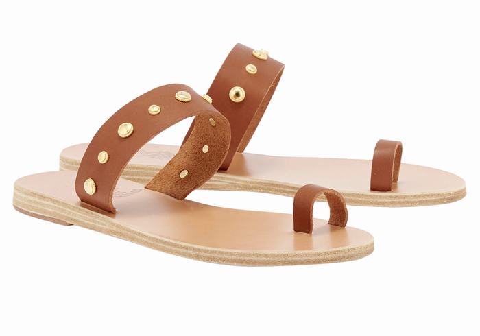 Dark Brown Ancient Greek Sandals Thalia Bee Women Toe-Post Sandals | PZQ9348IT