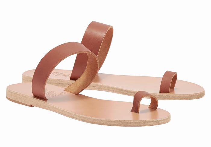 Dark Brown Ancient Greek Sandals Thalia Leather Women Toe-Post Sandals | WOM2181EK