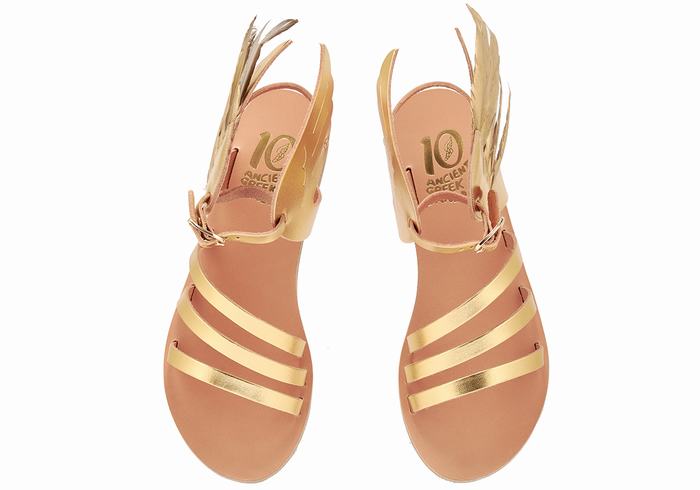 Gold Ancient Greek Sandals Victory Of Samothrace Women Ankle Strap Sandals | THD9499OS