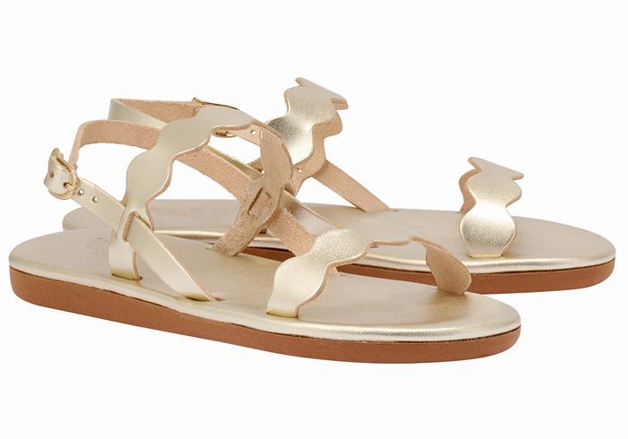 Gold White Ancient Greek Sandals Afros Women Back-Strap Sandals | SJK7678GK