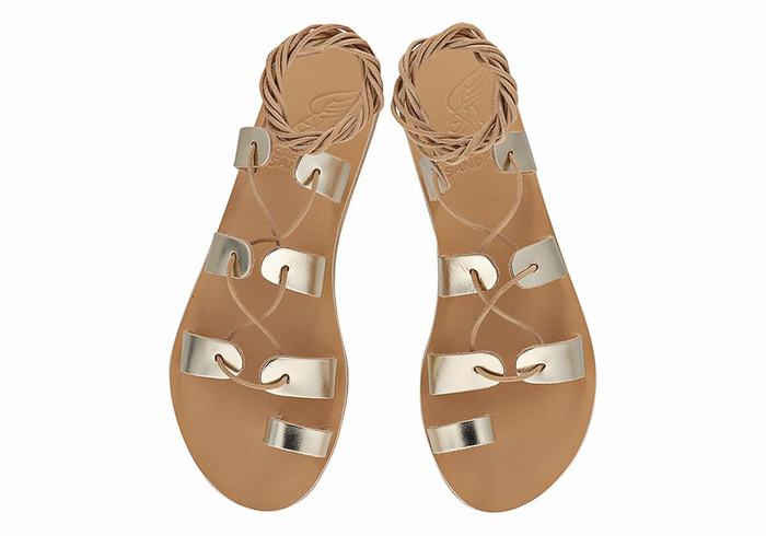 Gold White Ancient Greek Sandals Alcyone Leather Women Gladiator Sandals | GUW2688GB