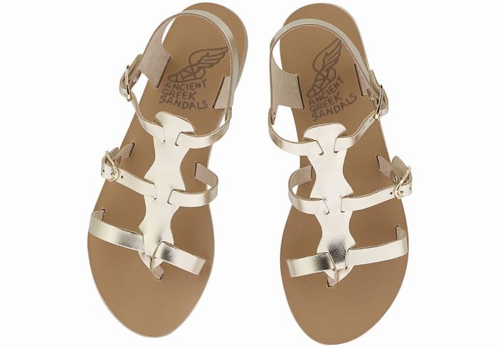 Gold White Ancient Greek Sandals Grace Kelly Leather Women Casual Sandals | ACT7474IA