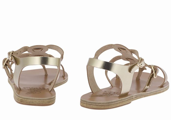 Gold White Ancient Greek Sandals Grace Kelly Leather Women Casual Sandals | ACT7474IA