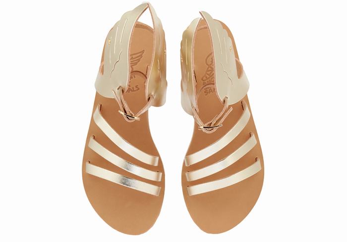 Gold White Ancient Greek Sandals Ikaria Leather Women Ankle Strap Sandals | HAU7100VE