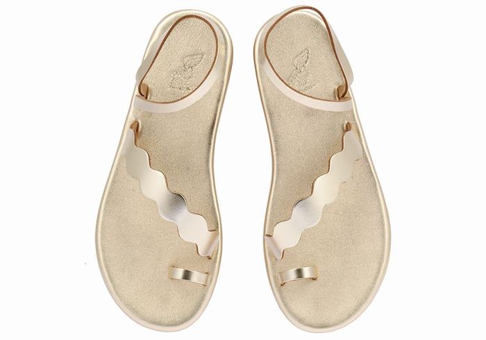 Gold White Ancient Greek Sandals Koralia Women Toe-Post Sandals | MXJ2918VX