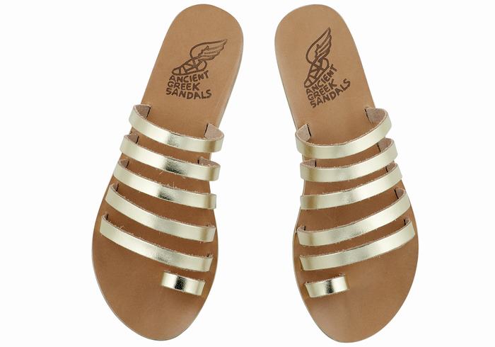 Gold White Ancient Greek Sandals Niki Leather Women Toe-Post Sandals | OUM4498HV