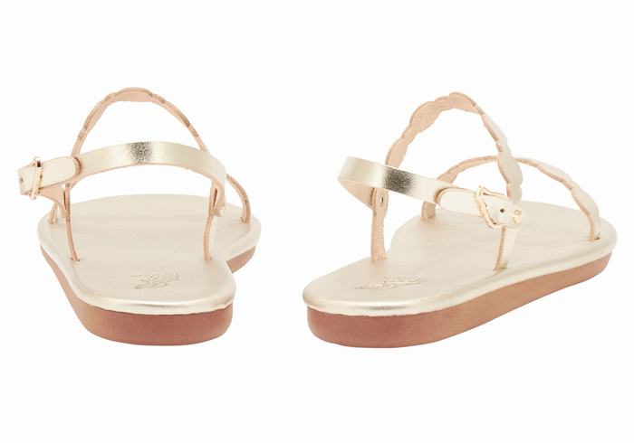 Gold White Ancient Greek Sandals Orion Women Back-Strap Sandals | UQI2526NG