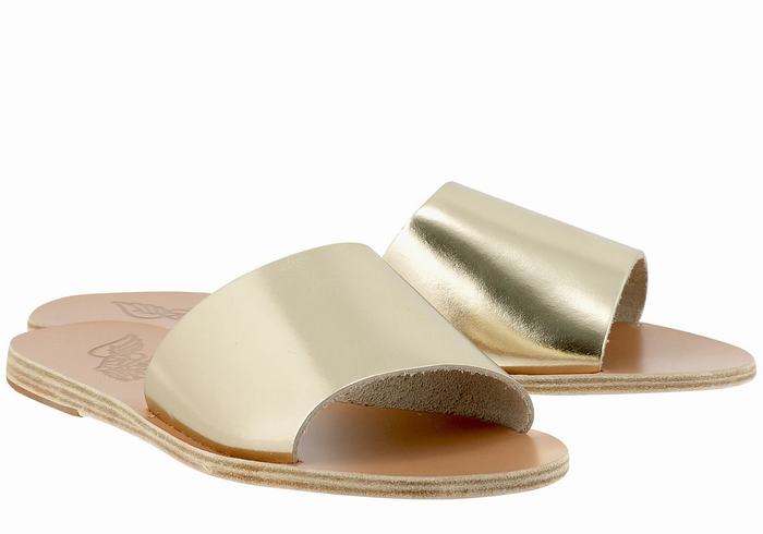 Gold White Ancient Greek Sandals Taygete Women Slide Sandals | REJ8029IN