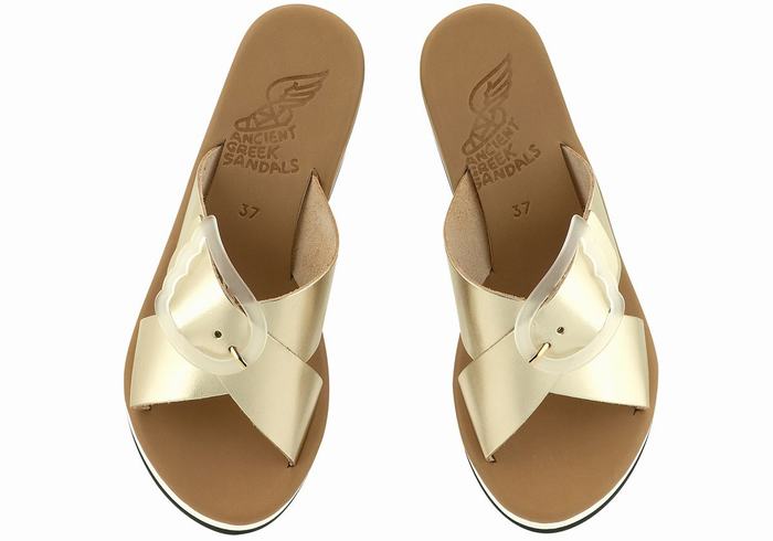 Gold White Ancient Greek Sandals Thais Rainbow Women Wedge Sandals | SHU6995WO