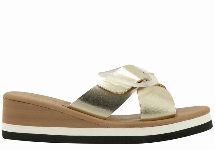 Gold White Ancient Greek Sandals Thais Rainbow Women Wedge Sandals | SHU6995WO