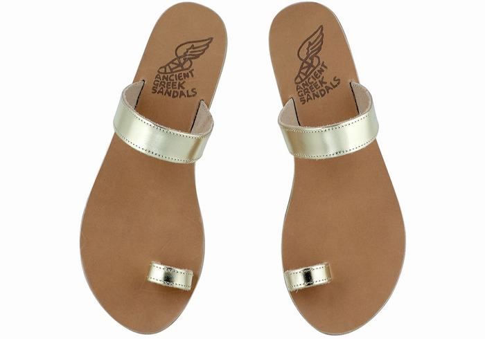 Gold White Ancient Greek Sandals Thalia Leather Women Toe-Post Sandals | AQT262MF