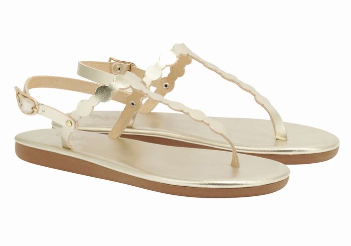 Gold White Ancient Greek Sandals Velos Flip Flop Women Back-Strap Sandals | KMS5691XL