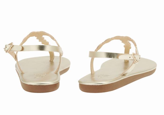 Gold White Ancient Greek Sandals Velos Flip Flop Women Back-Strap Sandals | KMS5691XL