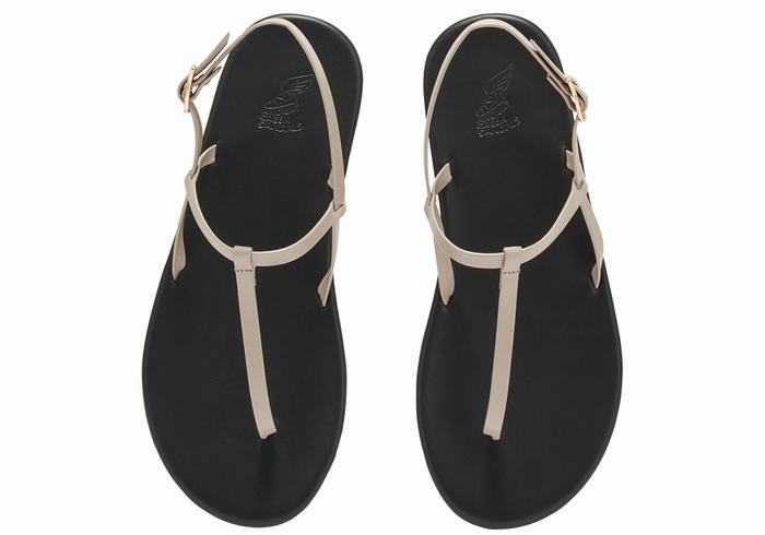 Grey Brown Ancient Greek Sandals Lito Flip Flop Women Back-Strap Sandals | GII2083XQ