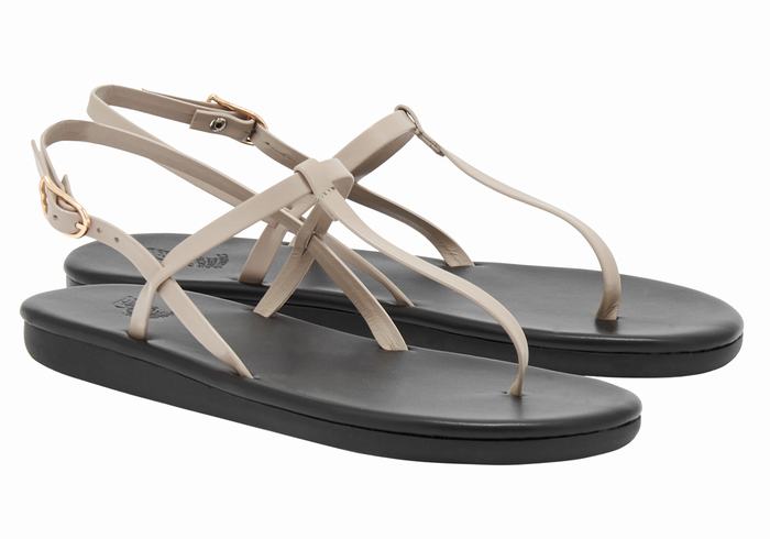 Grey Brown Ancient Greek Sandals Lito Flip Flop Women Back-Strap Sandals | GII2083XQ