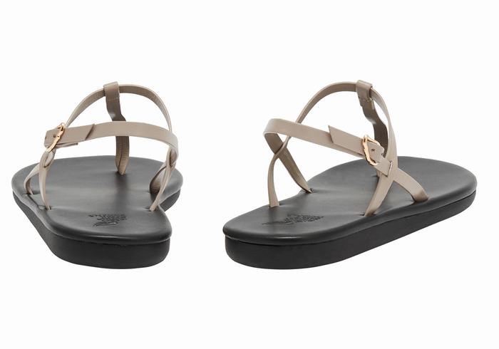 Grey Brown Ancient Greek Sandals Lito Flip Flop Women Back-Strap Sandals | GII2083XQ