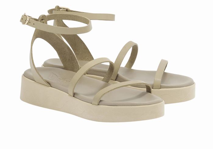 Grey Brown Ancient Greek Sandals Nissida Leather Women Platform Sandals | AEE6467WT