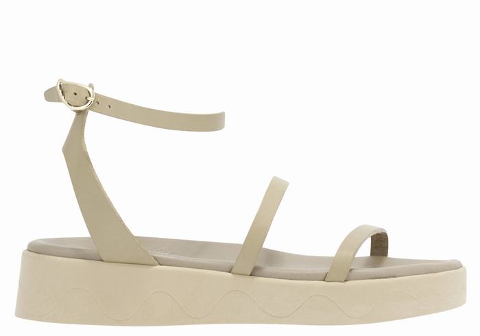 Grey Brown Ancient Greek Sandals Nissida Leather Women Platform Sandals | AEE6467WT