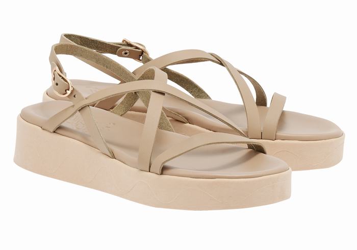 Grey Brown Ancient Greek Sandals Silia Leather Women Platform Sandals | OTO8987MW