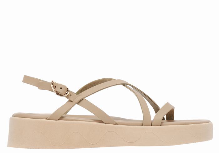 Grey Brown Ancient Greek Sandals Silia Leather Women Platform Sandals | OTO8987MW