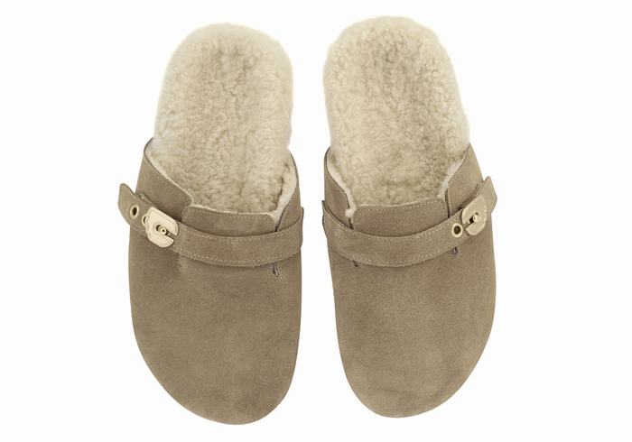 Grey Brown Ancient Greek Sandals Vasilitsa Women Slippers | UPU8774DE