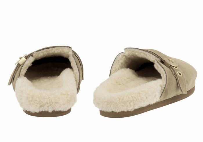 Grey Brown Ancient Greek Sandals Vasilitsa Women Slippers | UPU8774DE