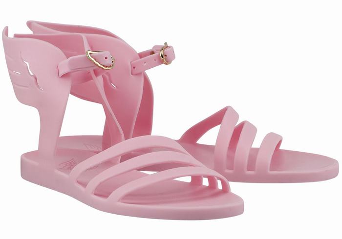 Pink Ancient Greek Sandals Ikaria Women Ankle Strap Sandals | QDB5776RI