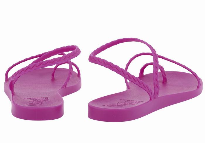 Purple Ancient Greek Sandals Eleftheria Women Braided Sandals | YXN5432GG