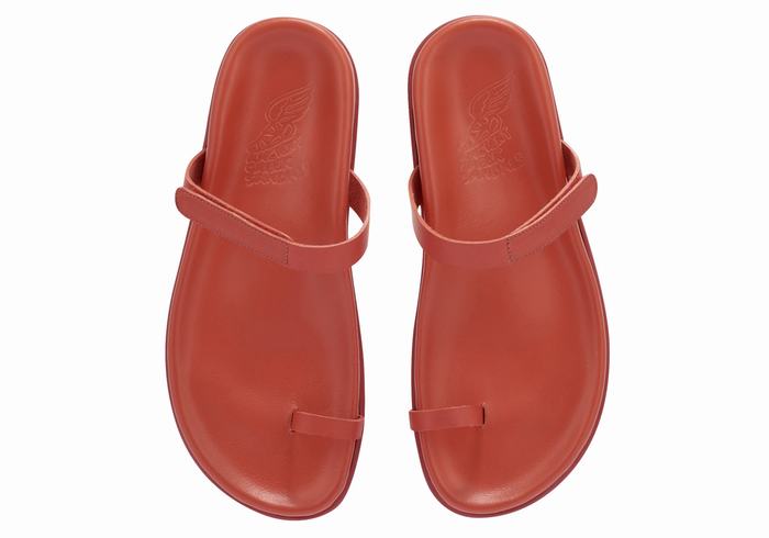 Red Ancient Greek Sandals Dokos Women Toe-Post Sandals | PTB4052OG