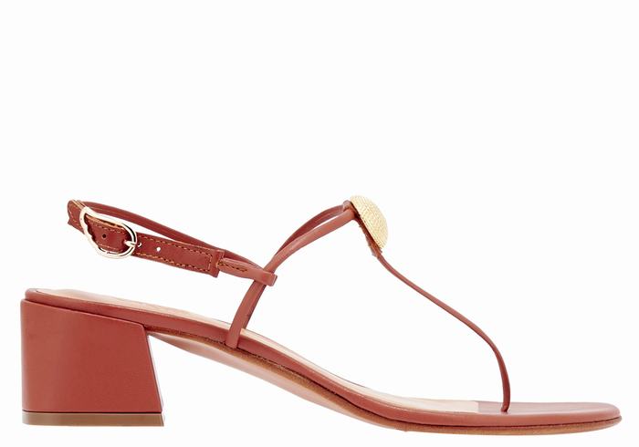 Red Ancient Greek Sandals Mistida Women Heeled Sandals | WXH1098NV