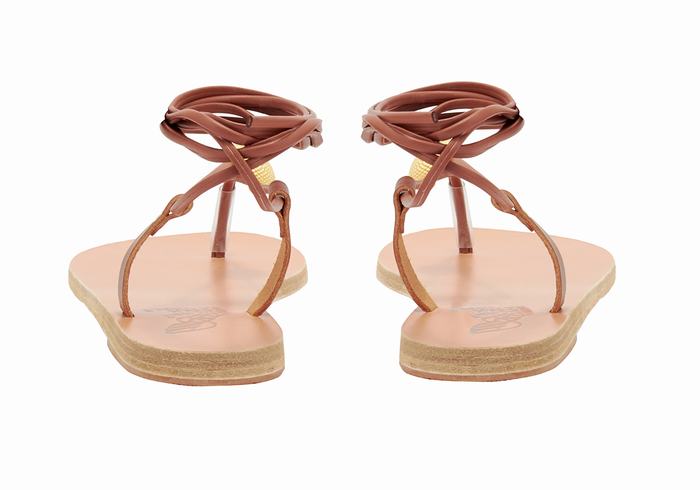 Red Ancient Greek Sandals Persephone Women Gladiator Sandals | NQO4634HS