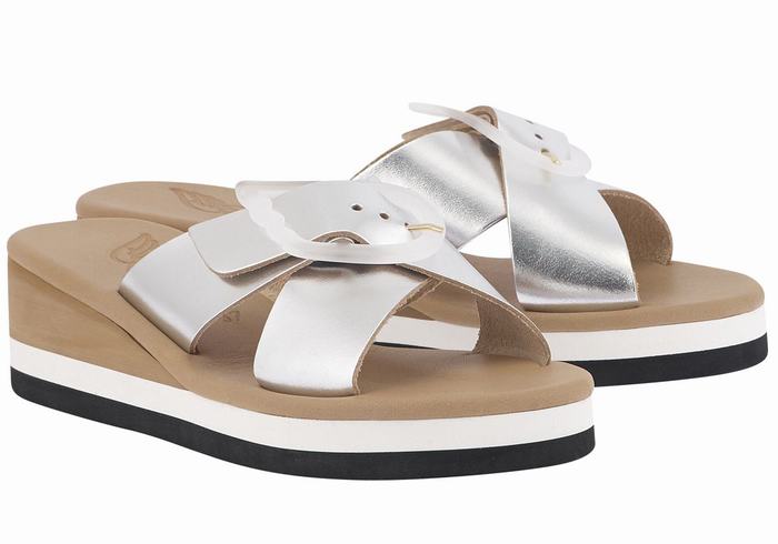 Silver Ancient Greek Sandals Thais Rainbow Women Wedge Sandals | WRY1390TS