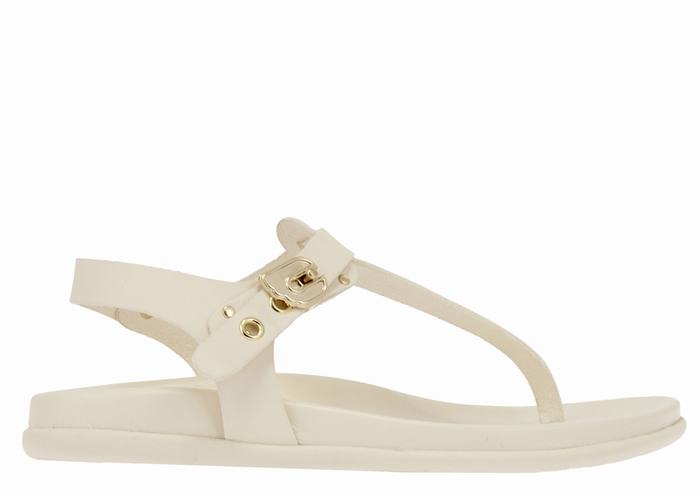 White Ancient Greek Sandals Alki Flip Flop Women Back-Strap Sandals | TJV3214DS