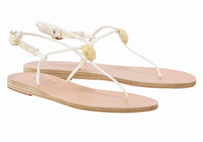 White Ancient Greek Sandals Dimitra Flip Flop Women Back-Strap Sandals | YVA4519QB