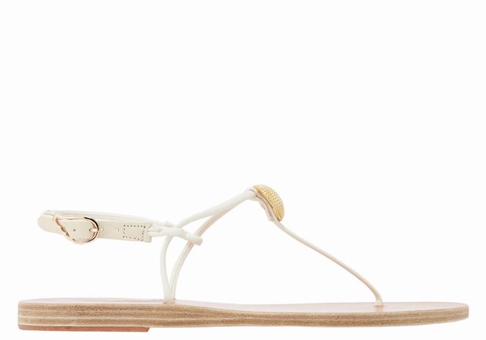 White Ancient Greek Sandals Dimitra Flip Flop Women Back-Strap Sandals | YVA4519QB