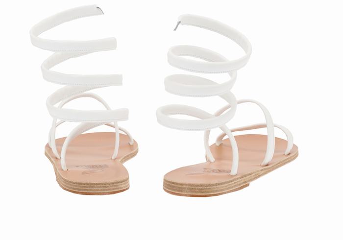 White Ancient Greek Sandals Ofis Women Gladiator Sandals | VSL4561RZ