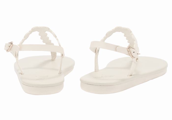 White Ancient Greek Sandals Velos Flip Flop Women Back-Strap Sandals | LIM8057GD